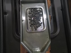 Polygonum multiflorum w proszku